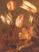 Jacob Gerritsz Cuyp Tulip Field oil on canvas
